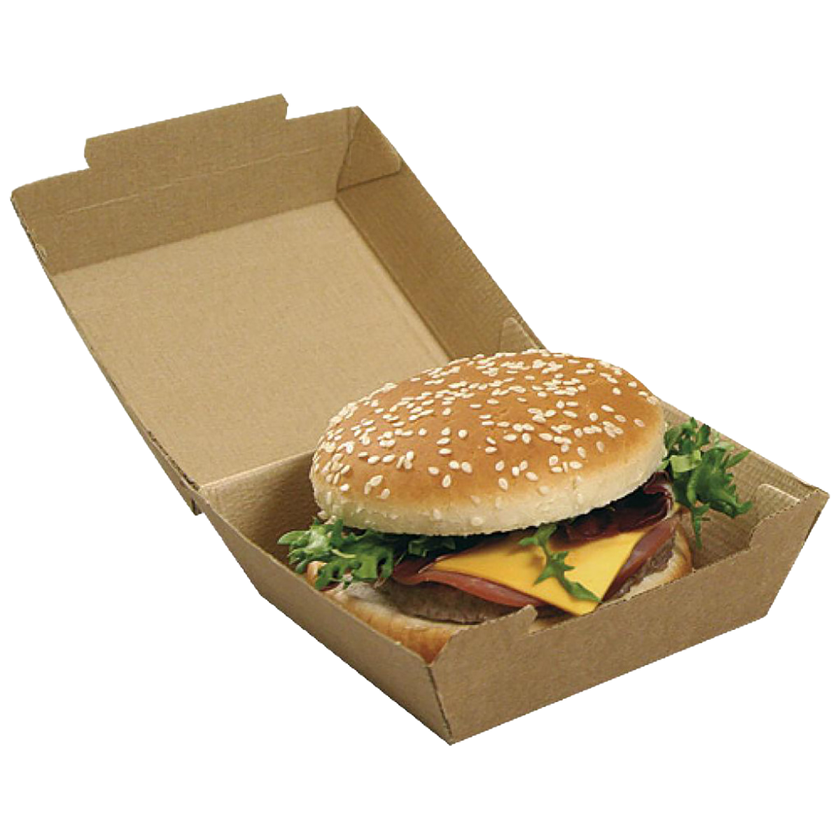 CONCHA CARTON BURGUER XXL