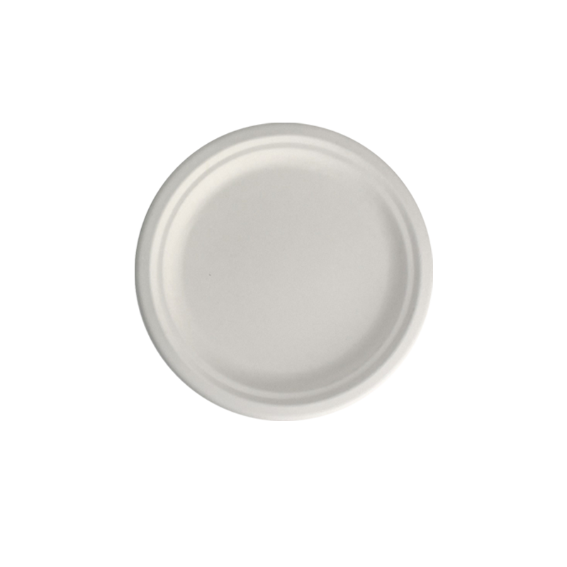 PLATO BAGAZO 18 CM - Imagen 2