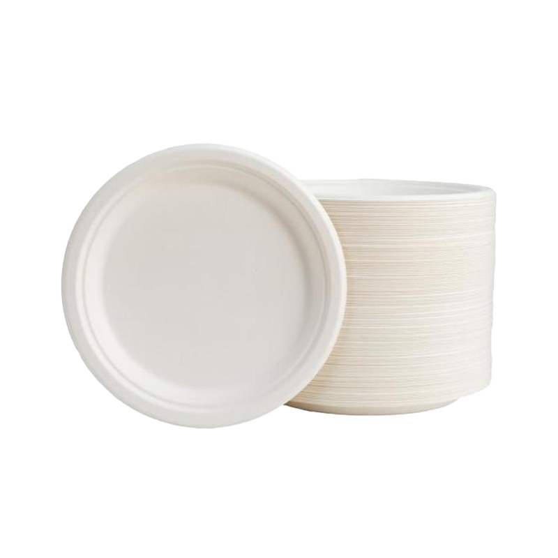 PLATO BAGAZO 26 CM - Imagen 4