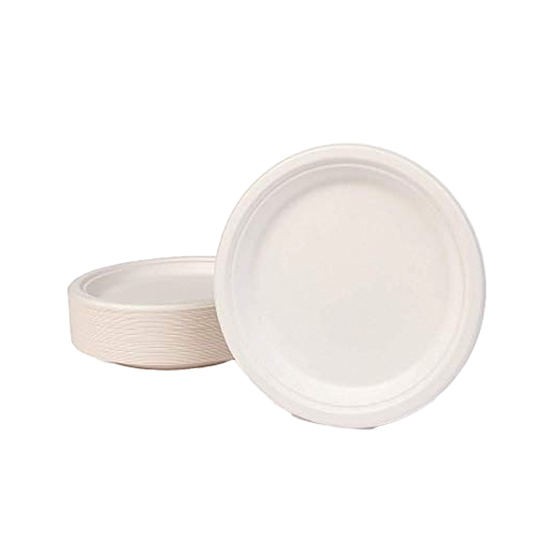 PLATO BAGAZO 22 CM - Imagen 3