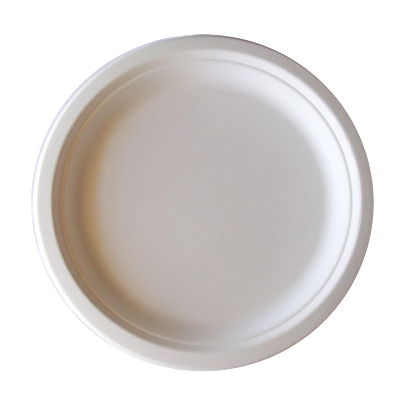 PLATO BAGAZO 26 CM - Imagen 2