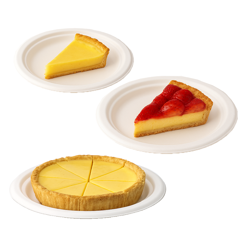 PLATO BAGAZO 26 CM - Imagen 5