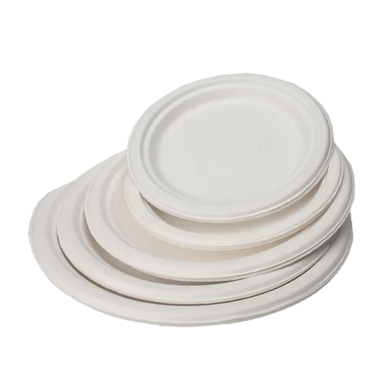 PLATO BAGAZO 22 CM - Imagen 4